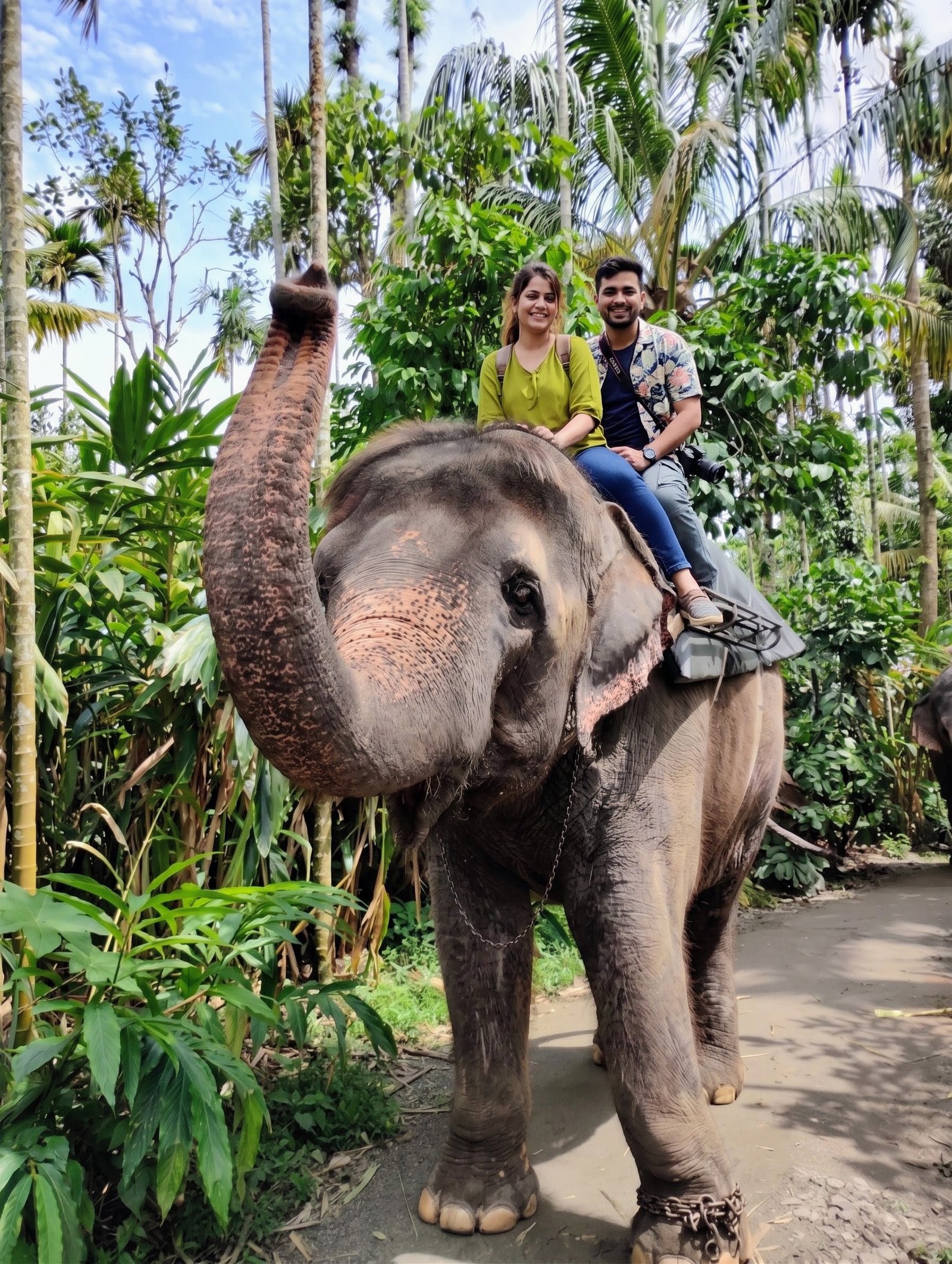 Elephant Ride