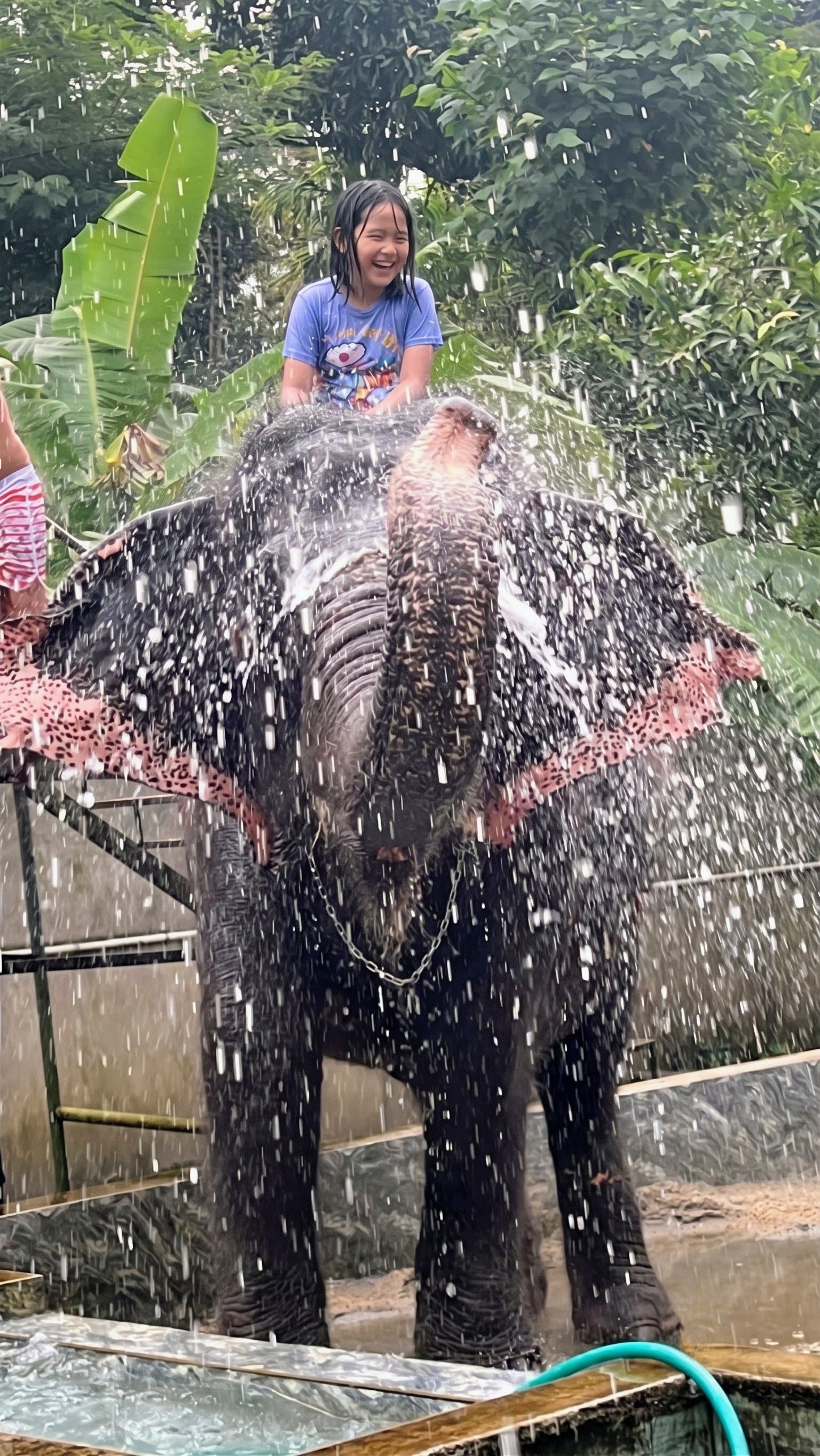 Elephant Only Shower photo 2